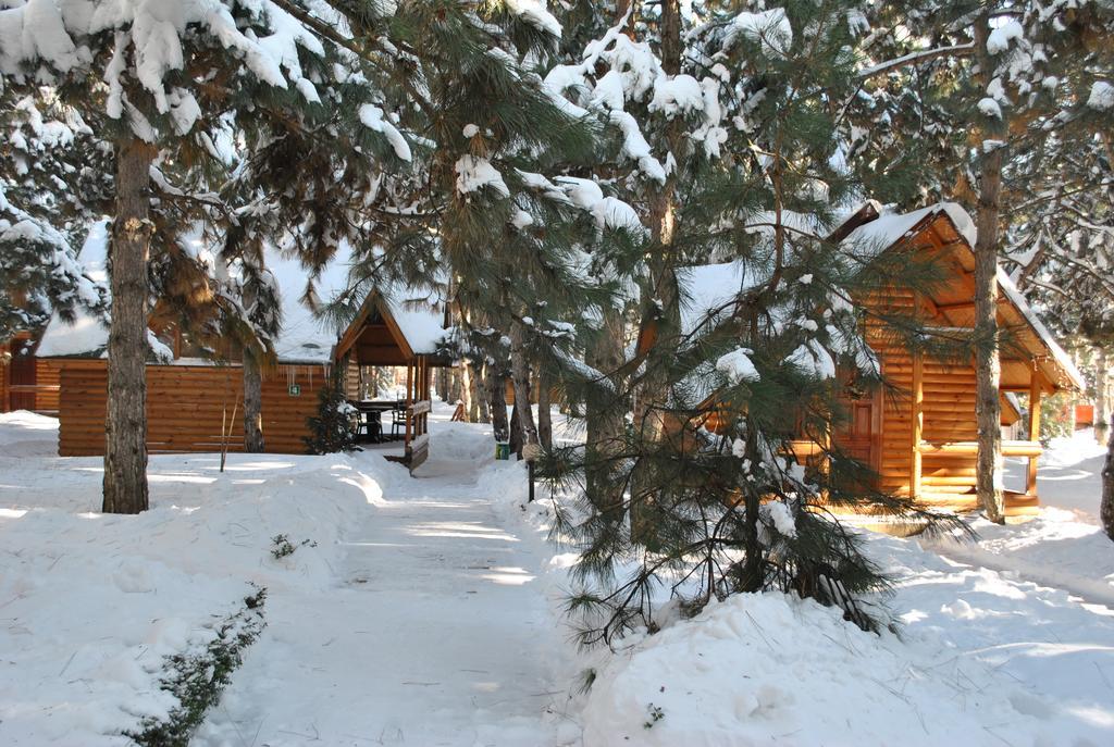 Kompleks Otdykha Elki-Palki Burlach'ya Balka Exterior photo