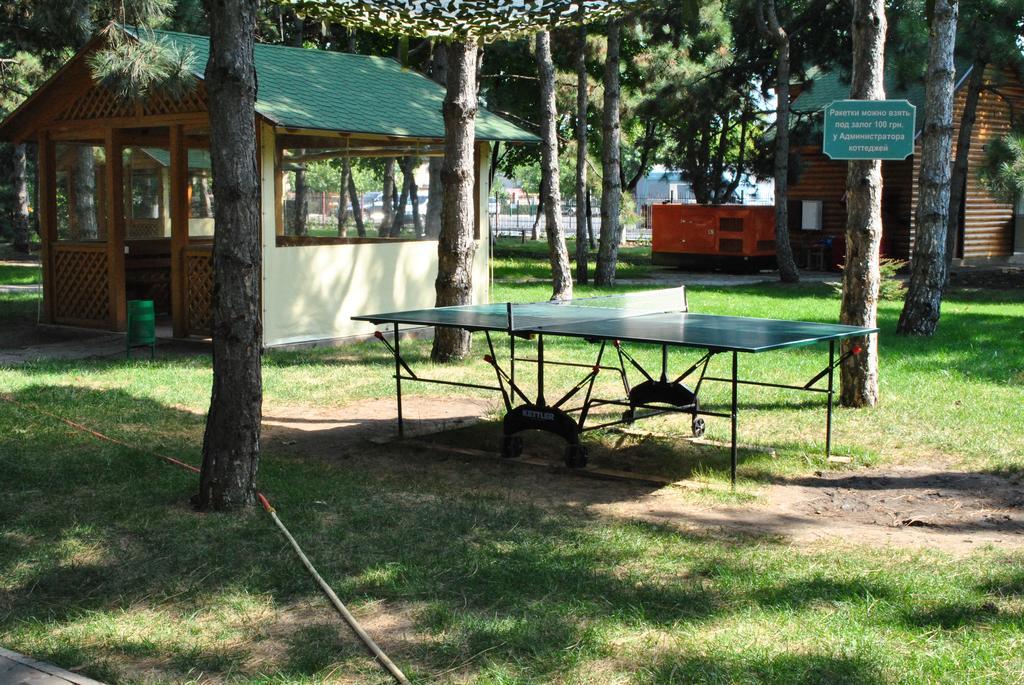 Kompleks Otdykha Elki-Palki Burlach'ya Balka Exterior photo